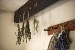 Zbawienne zioła na bóle stawów. Naturalna terapia
